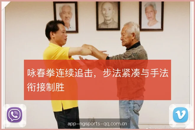 咏春拳连续追击，步法紧凑与手法衔接制胜